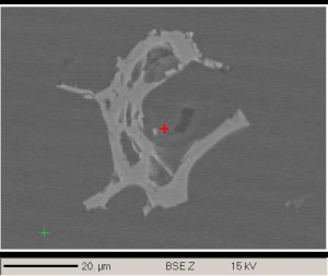 Back-scatter electron image of rhyolitic tephra grain from Dye3