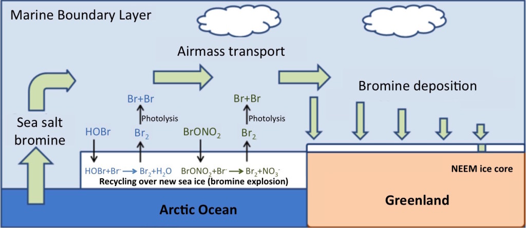 Figure 2 – Bromine enrichment and transport. Bromine originates from the ocean surface, but is concentrated by sunlight-driven chemical reactions occurring above seasonal sea ice. The enriched bromine is transported over the Greenland ice sheet and deposited onto the snow surface.