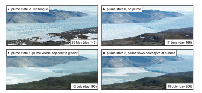 Fig. 1. Illustrations of plume state classification. (a) Plume state=−1, ice tongue present. (b) Plume state= 0, no ice tongue and no surface expression of a plume. (c) Plume state= 1, plume visible adjacent to glacier terminus but is contained within a few hundred metres of the terminus. (d) Plume state= 2, plume visible and flows down-fjord at surface for a number of kilometres.
